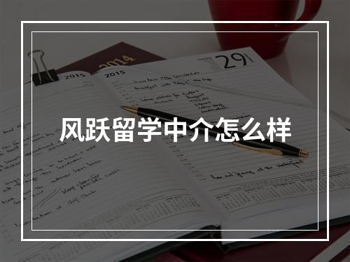 风跃留学中介怎么样