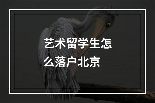 艺术留学生怎么落户北京