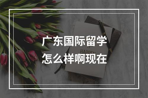 广东国际留学怎么样啊现在