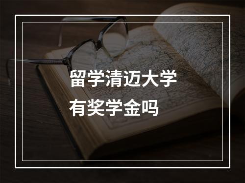 留学清迈大学有奖学金吗