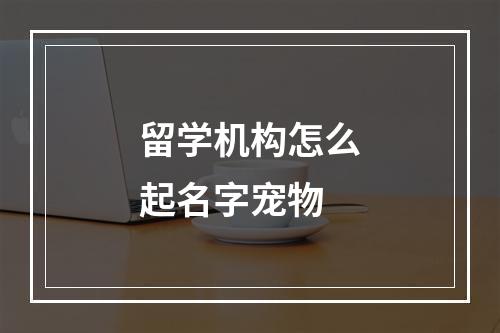 留学机构怎么起名字宠物