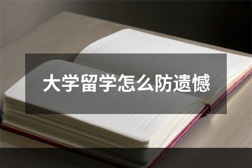 大学留学怎么防遗憾