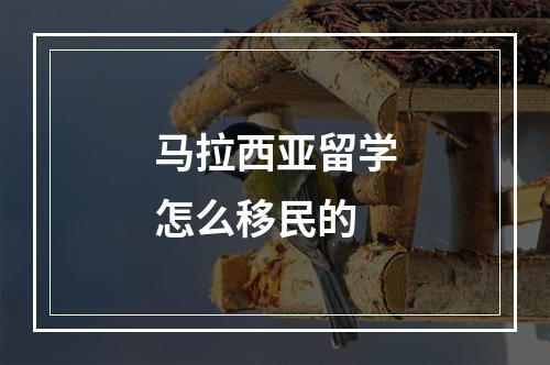 马拉西亚留学怎么移民的