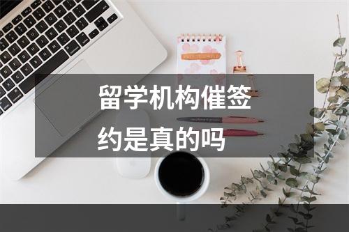 留学机构催签约是真的吗