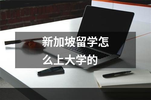 新加坡留学怎么上大学的