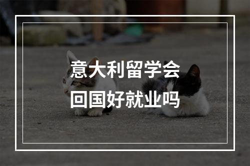 意大利留学会回国好就业吗