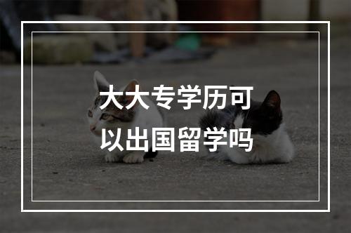 大大专学历可以出国留学吗