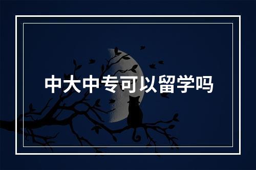 中大中专可以留学吗