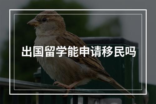 出国留学能申请移民吗