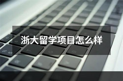 浙大留学项目怎么样