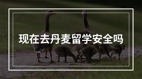 现在去丹麦留学安全吗