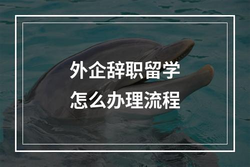 外企辞职留学怎么办理流程