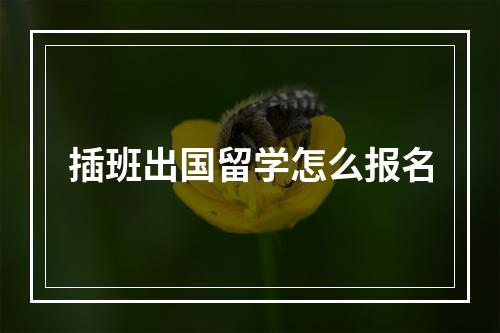 插班出国留学怎么报名