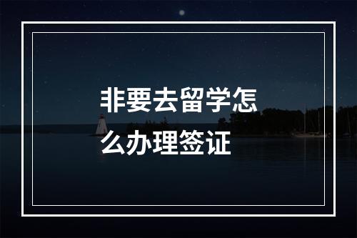 非要去留学怎么办理签证