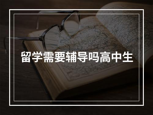 留学需要辅导吗高中生