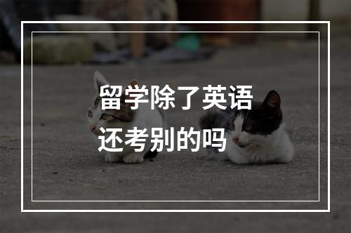 留学除了英语还考别的吗