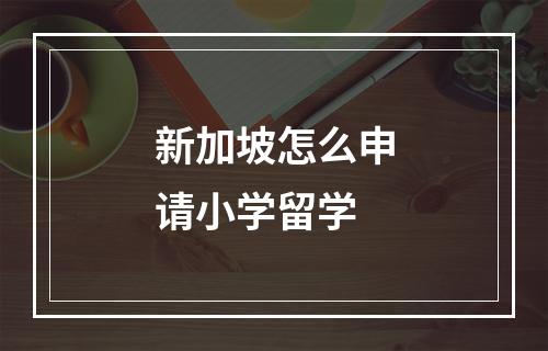 新加坡怎么申请小学留学