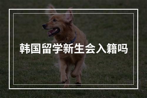 韩国留学新生会入籍吗