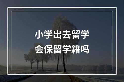 小学出去留学会保留学籍吗