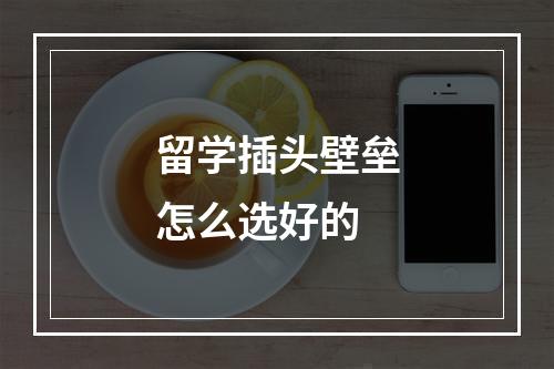 留学插头壁垒怎么选好的