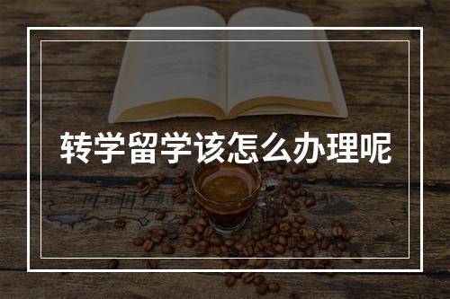 转学留学该怎么办理呢