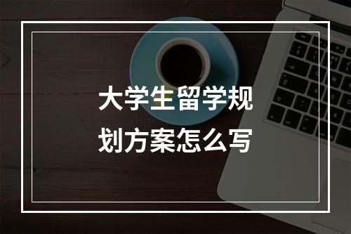 大学生留学规划方案怎么写