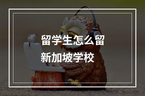 留学生怎么留新加坡学校