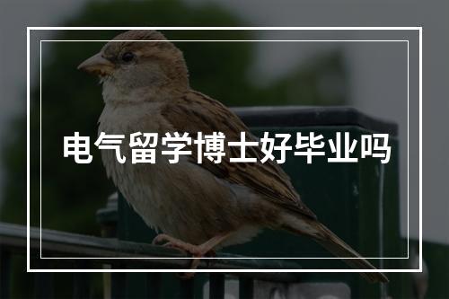 电气留学博士好毕业吗