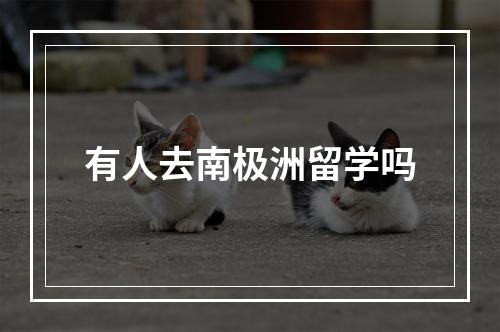 有人去南极洲留学吗