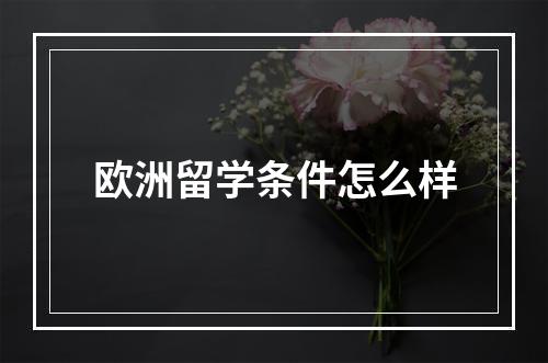 欧洲留学条件怎么样