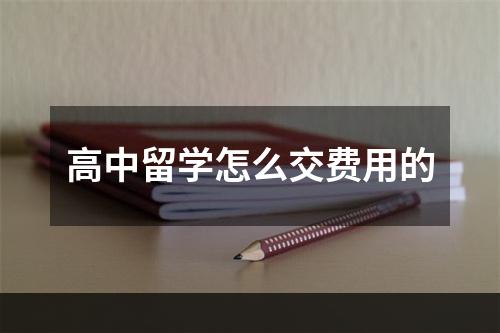 高中留学怎么交费用的