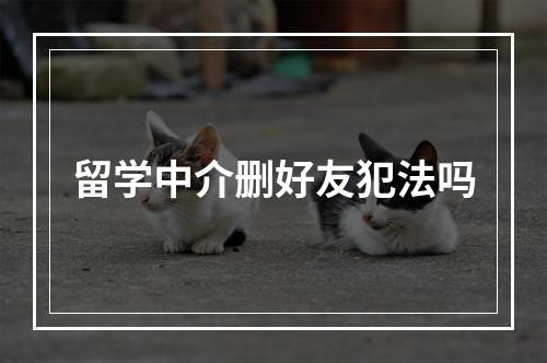 留学中介删好友犯法吗