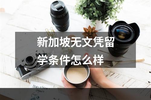 新加坡无文凭留学条件怎么样