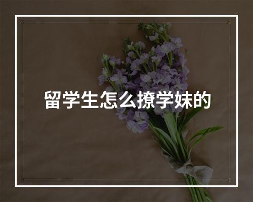 留学生怎么撩学妹的