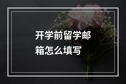 开学前留学邮箱怎么填写