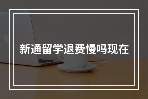 新通留学退费慢吗现在