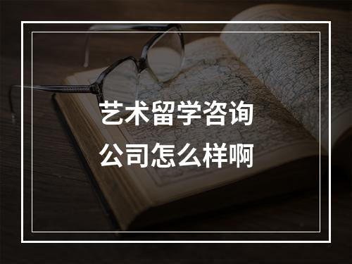 艺术留学咨询公司怎么样啊