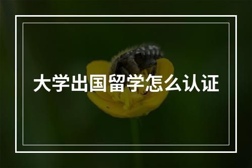 大学出国留学怎么认证