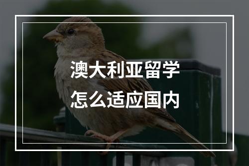 澳大利亚留学怎么适应国内