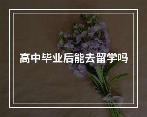 高中毕业后能去留学吗