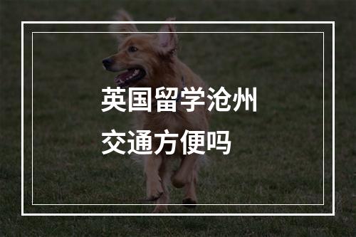 英国留学沧州交通方便吗