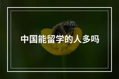 中国能留学的人多吗