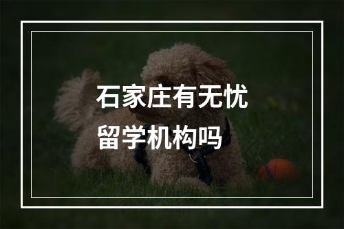 石家庄有无忧留学机构吗