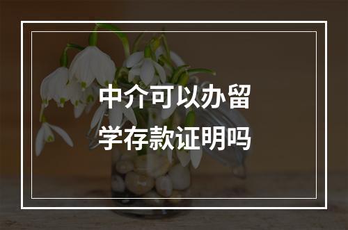 中介可以办留学存款证明吗