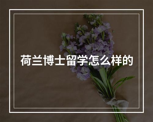 荷兰博士留学怎么样的