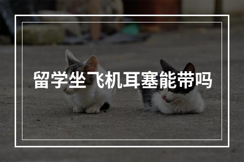 留学坐飞机耳塞能带吗