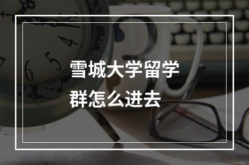 雪城大学留学群怎么进去