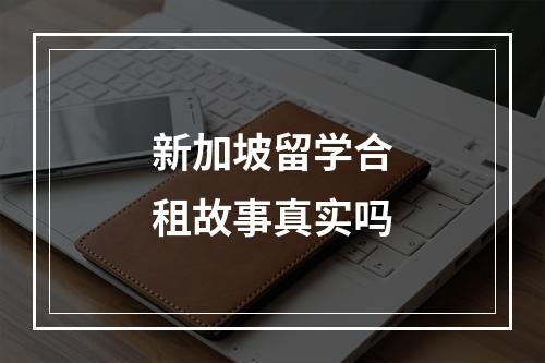 新加坡留学合租故事真实吗