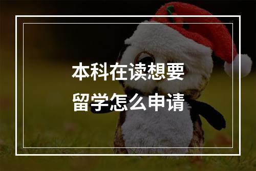 本科在读想要留学怎么申请