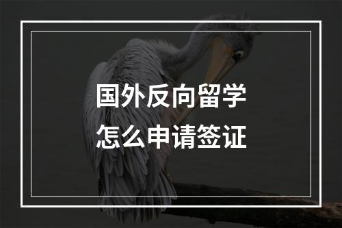 国外反向留学怎么申请签证